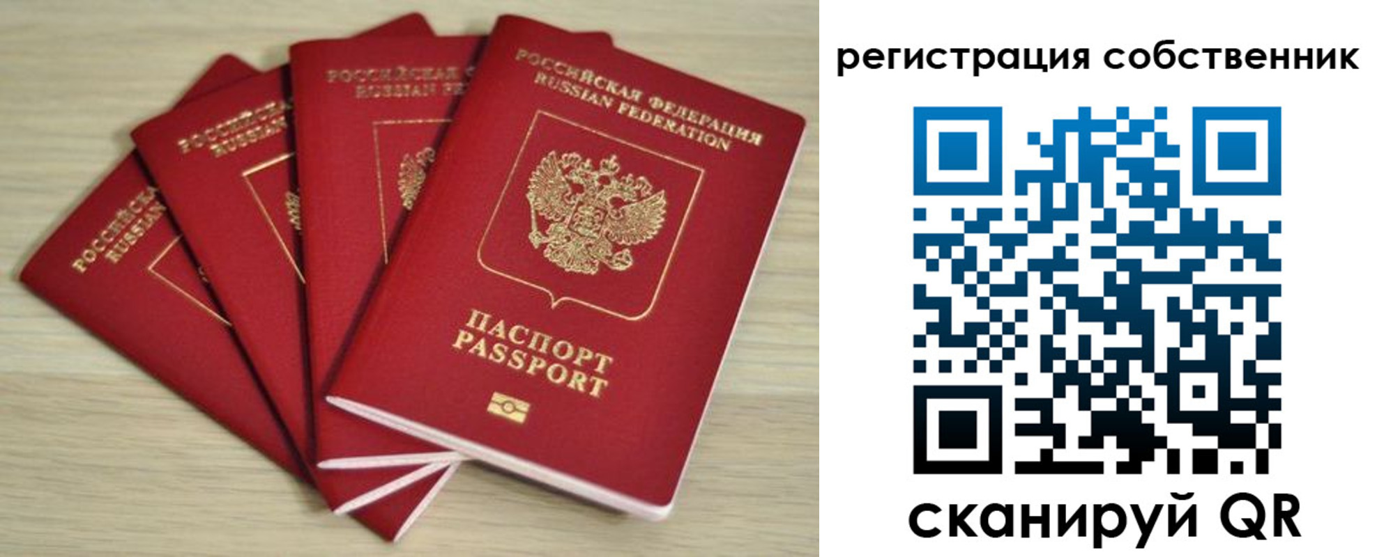 прописка регистрация в Сельцо